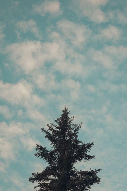 Nature photography by Rachriguez Photo
