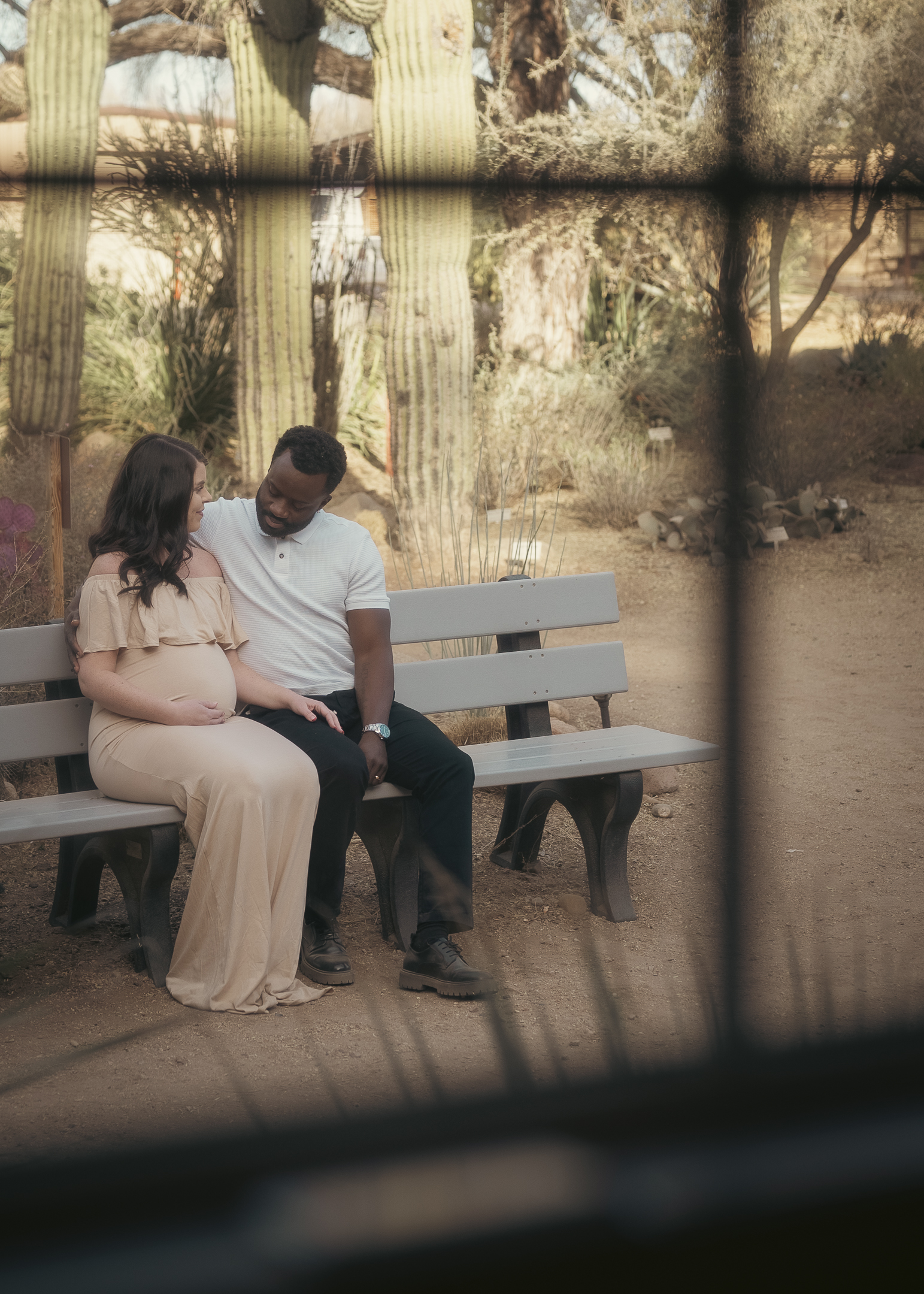 image captured looking through window of couple sitting in a nature garden with saguaro cactus