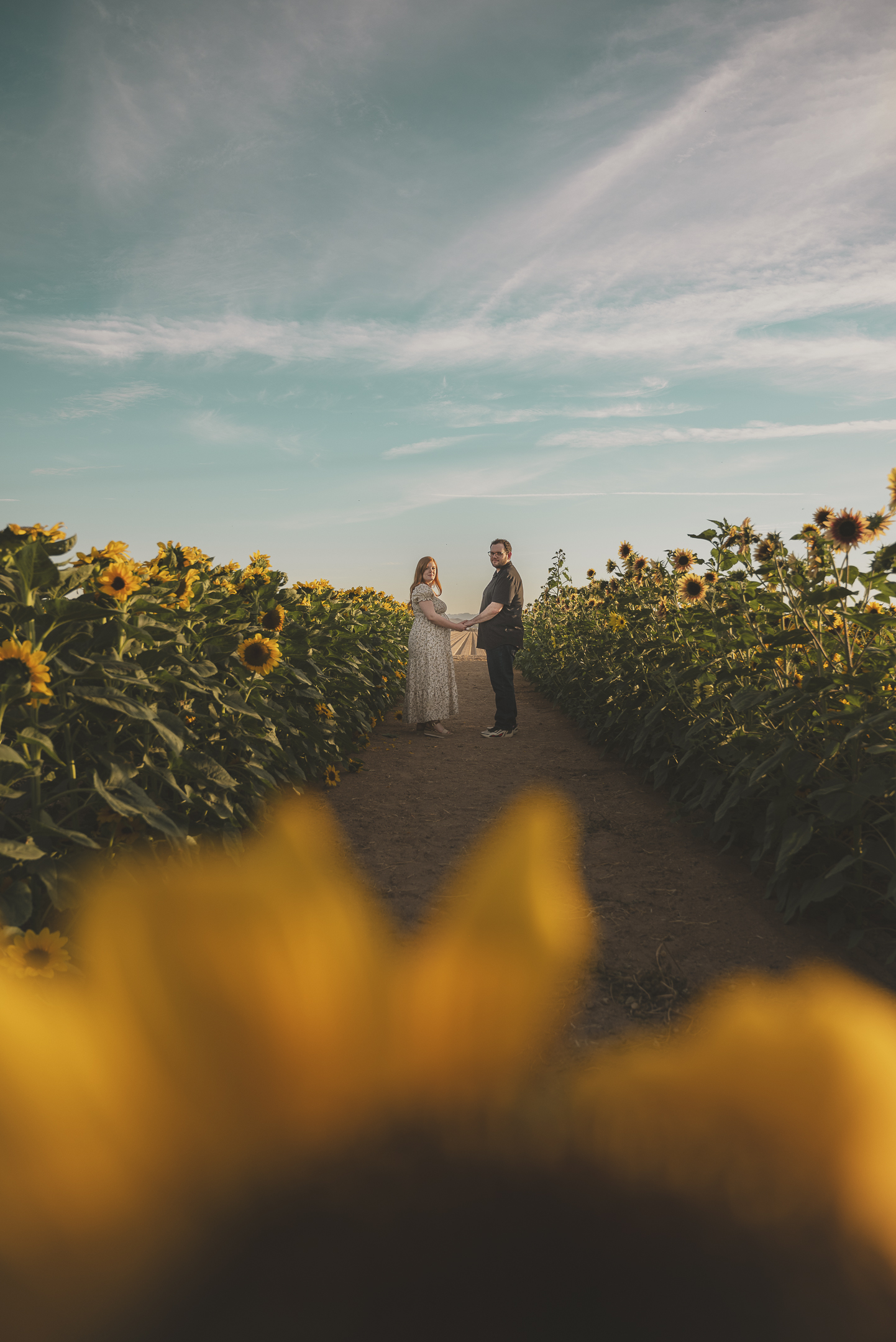Pregnant couple standing holding hands in a field of sunflowers in Buckeye Arizona