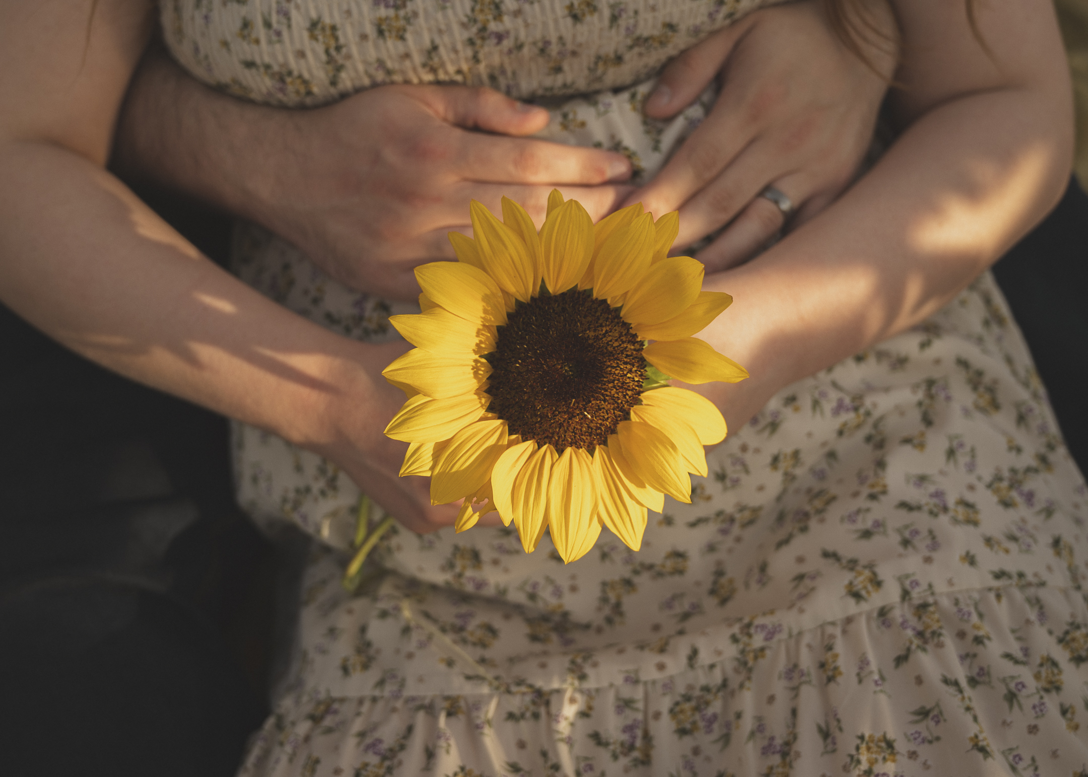 Couple holding sunflower over pregnant belly during maternity session