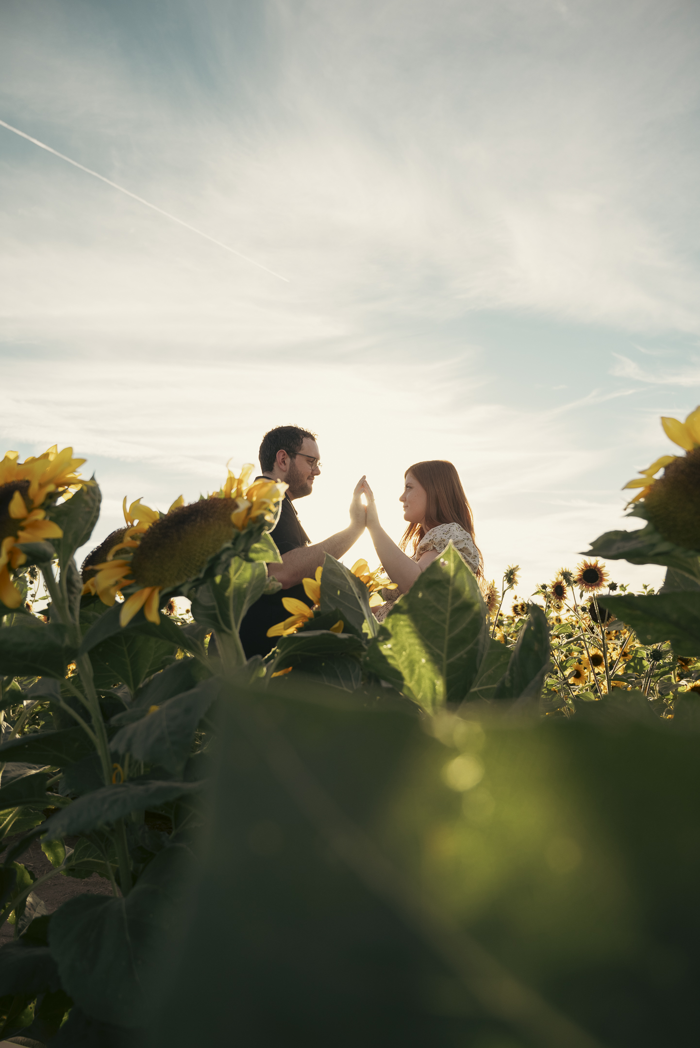 Couple facing each other holding palms together with blue skies in the backdrop and sunflowers in the foreground