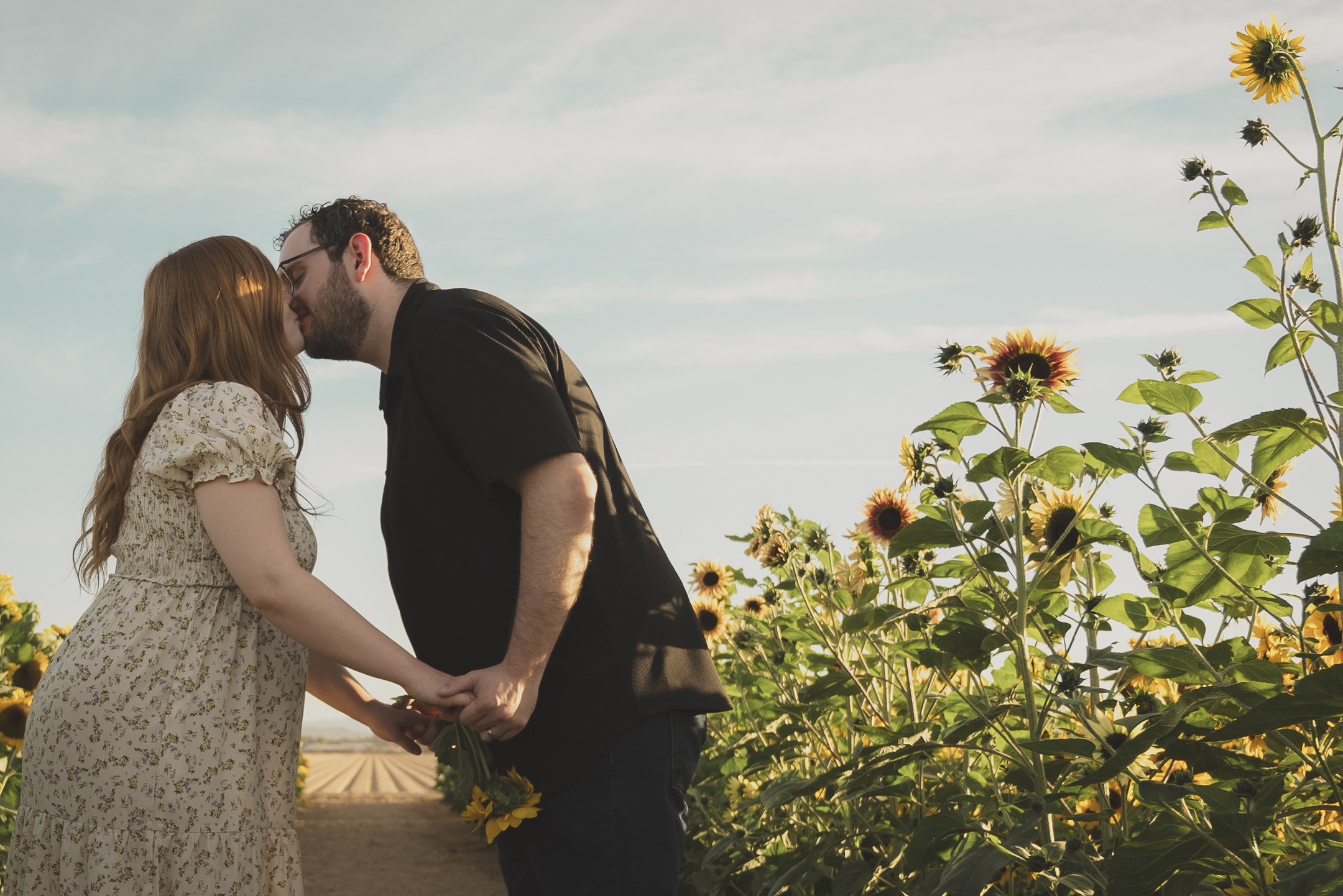 Pregnant couple kissing in sunflower field