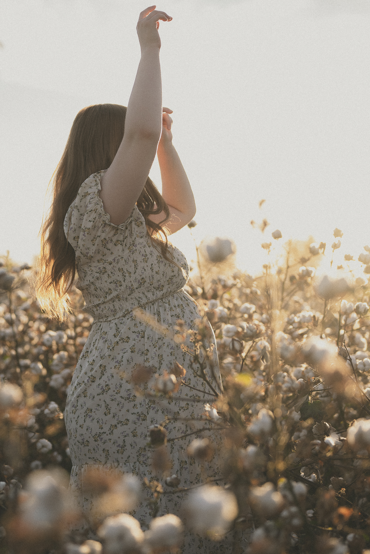 Pregnant woman dancing in cottonfield at golden hour