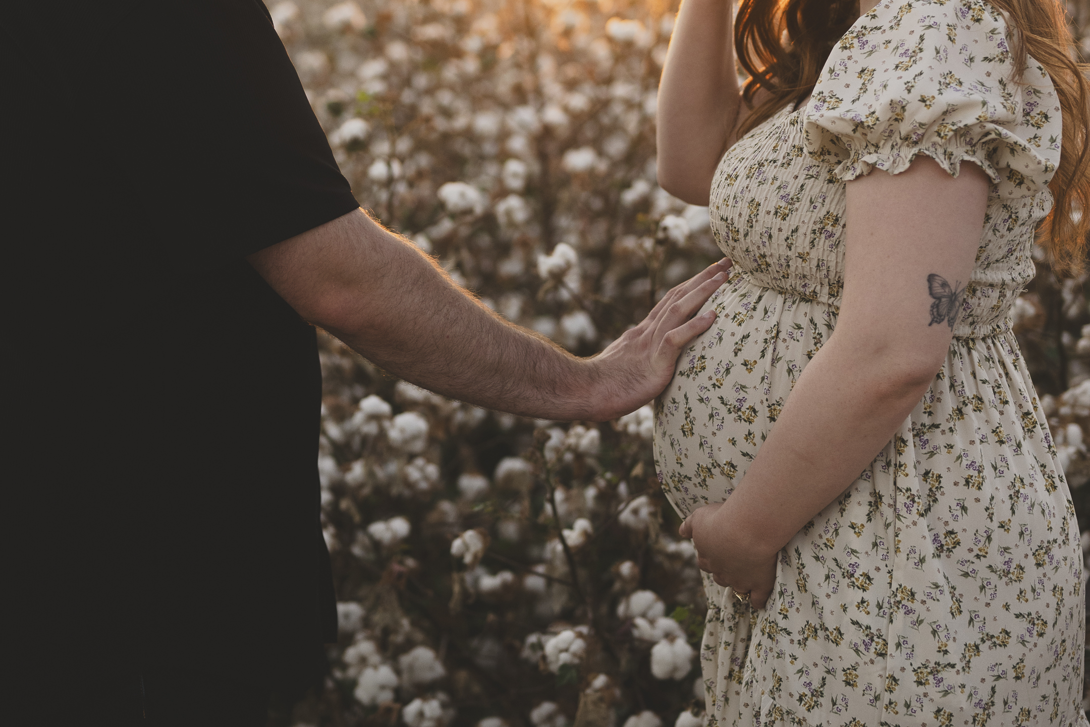 Husband's hand on wife's pregnant belly in a cottonfield in Buckeye Arizona