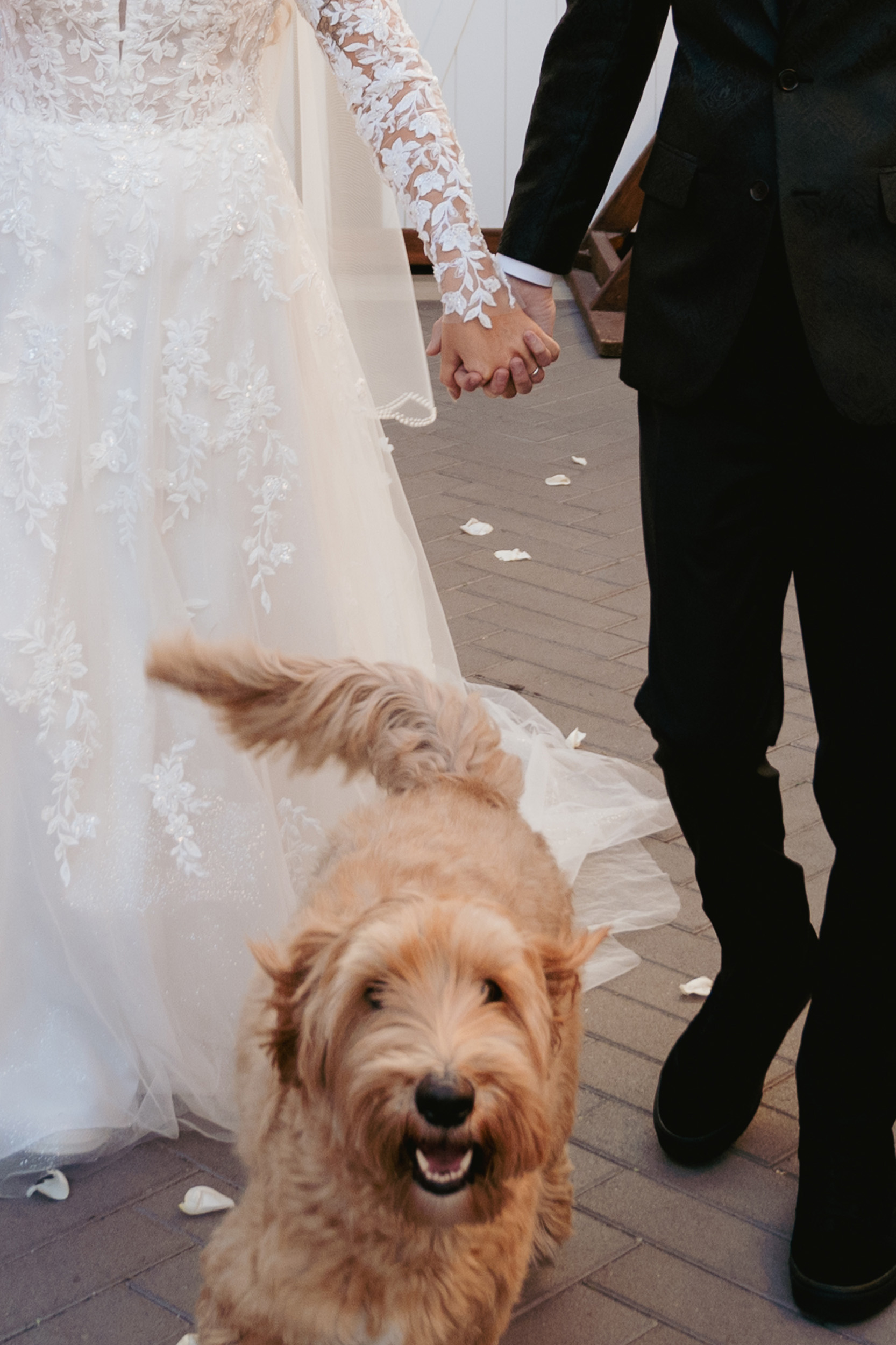 bride and groom holding hands after wedding ceremony at Tre Bella by Wedgewood in Mesa Arizona with pet dog leading them back up the aisle.