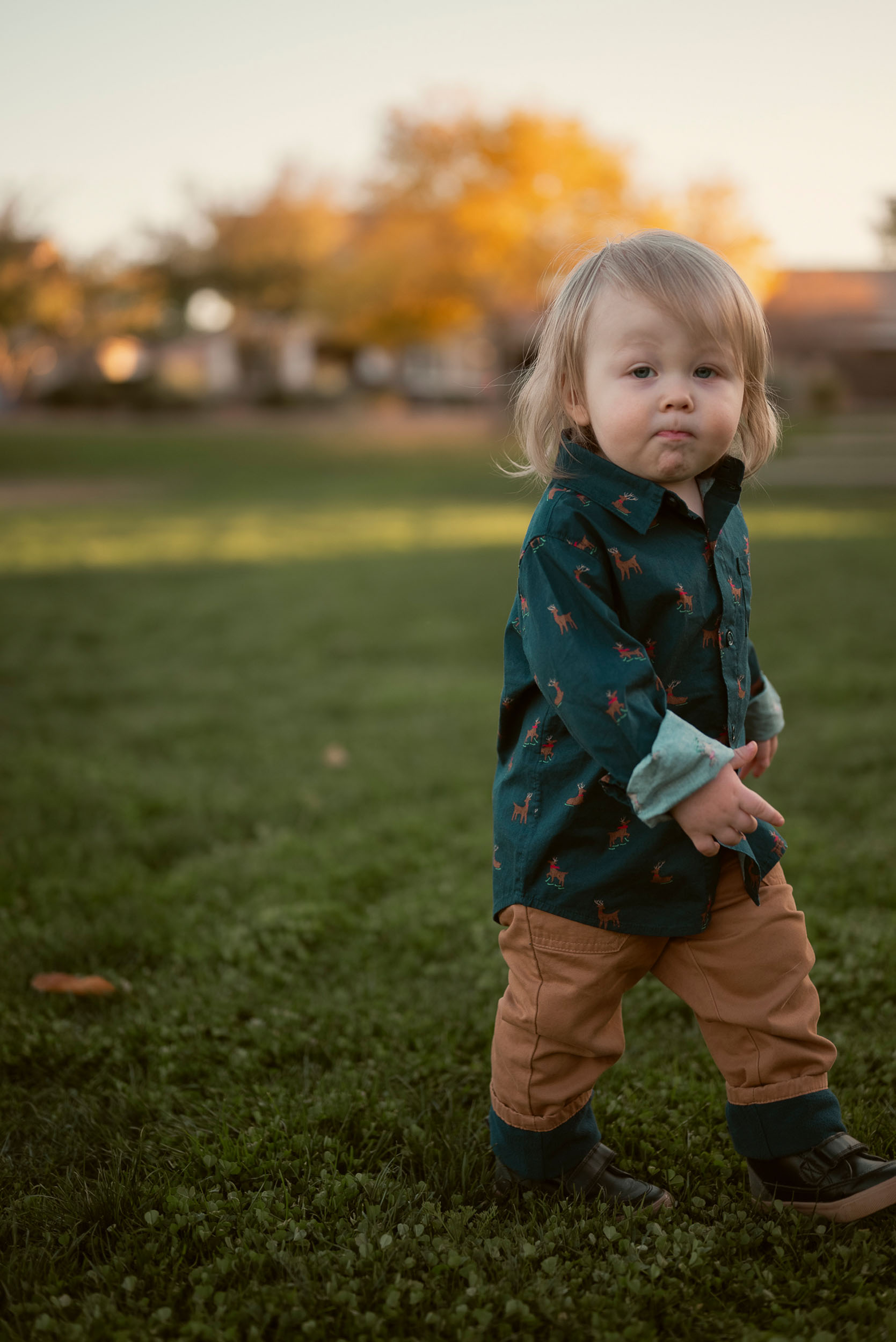 Todder walking along grassy area at Marley Park Surprise, Arizona