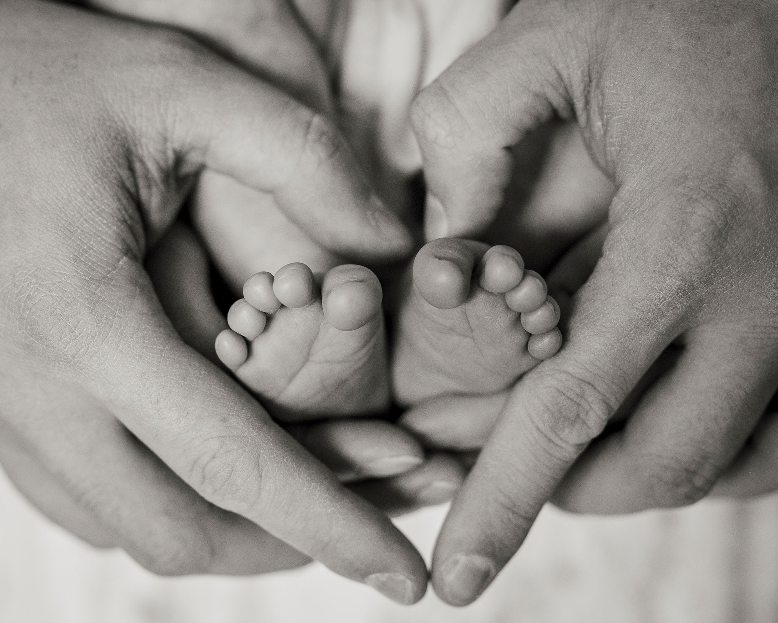 black and white photo of newborn baby feet being held my mom and dad in shape of a heart