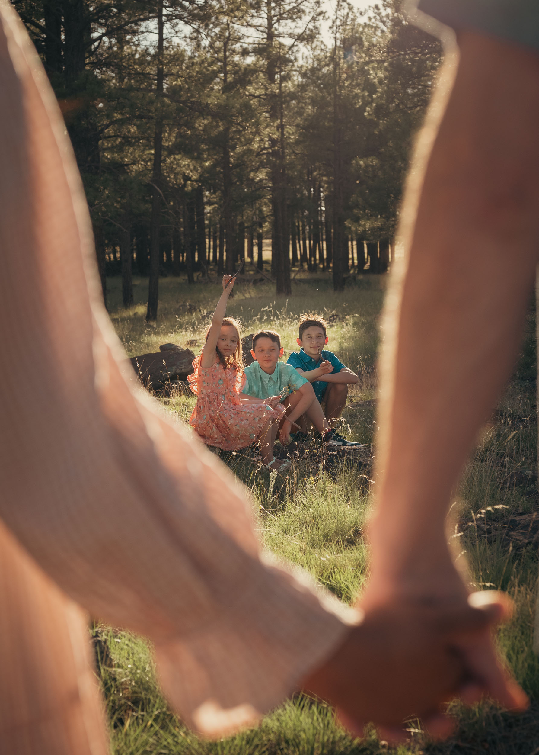 couple holding hands in foreground framing their children sitting in flagstaff meadow