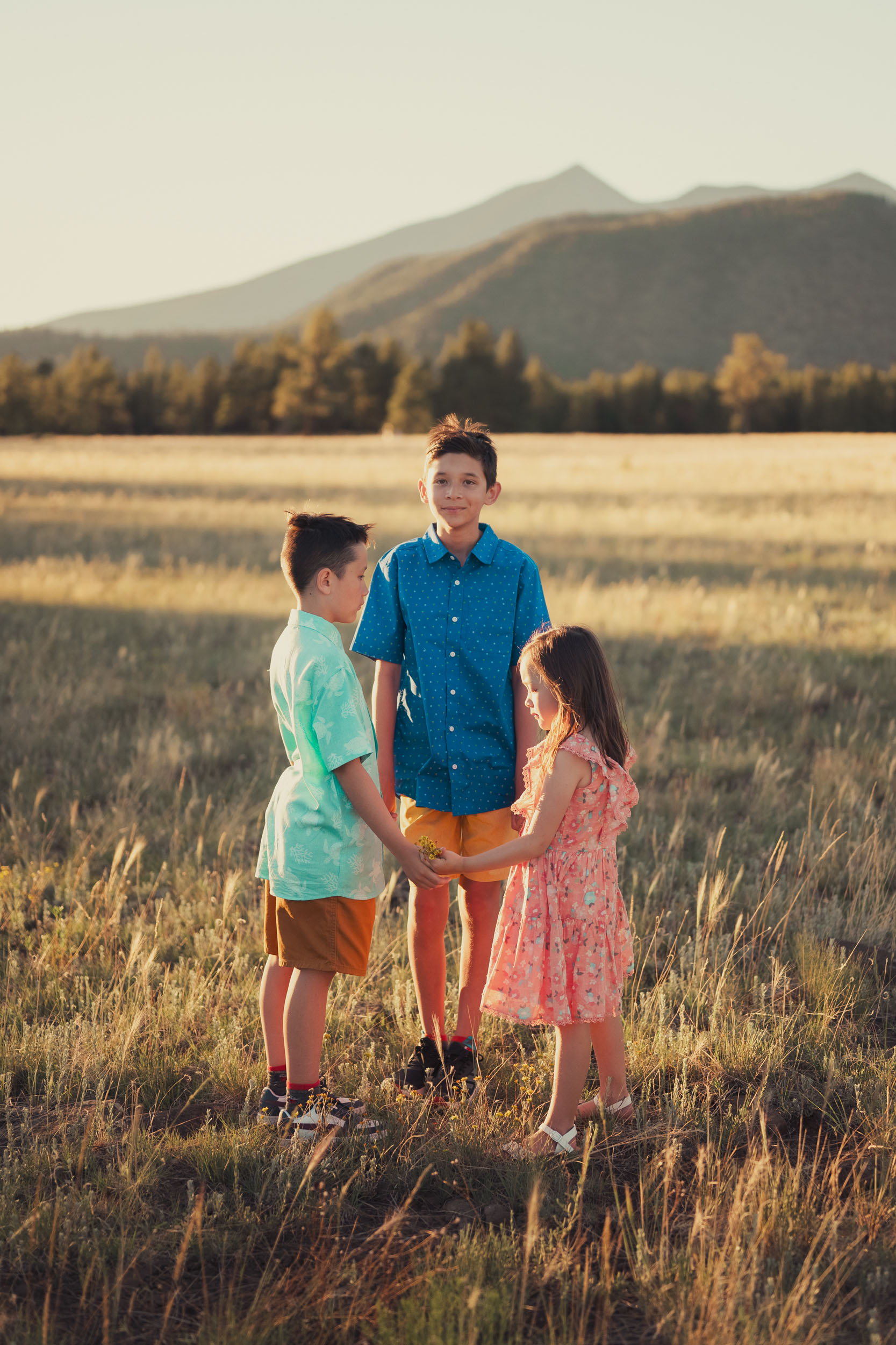 children holding hands on an open grassy meadow in Flagstaff at golden hour