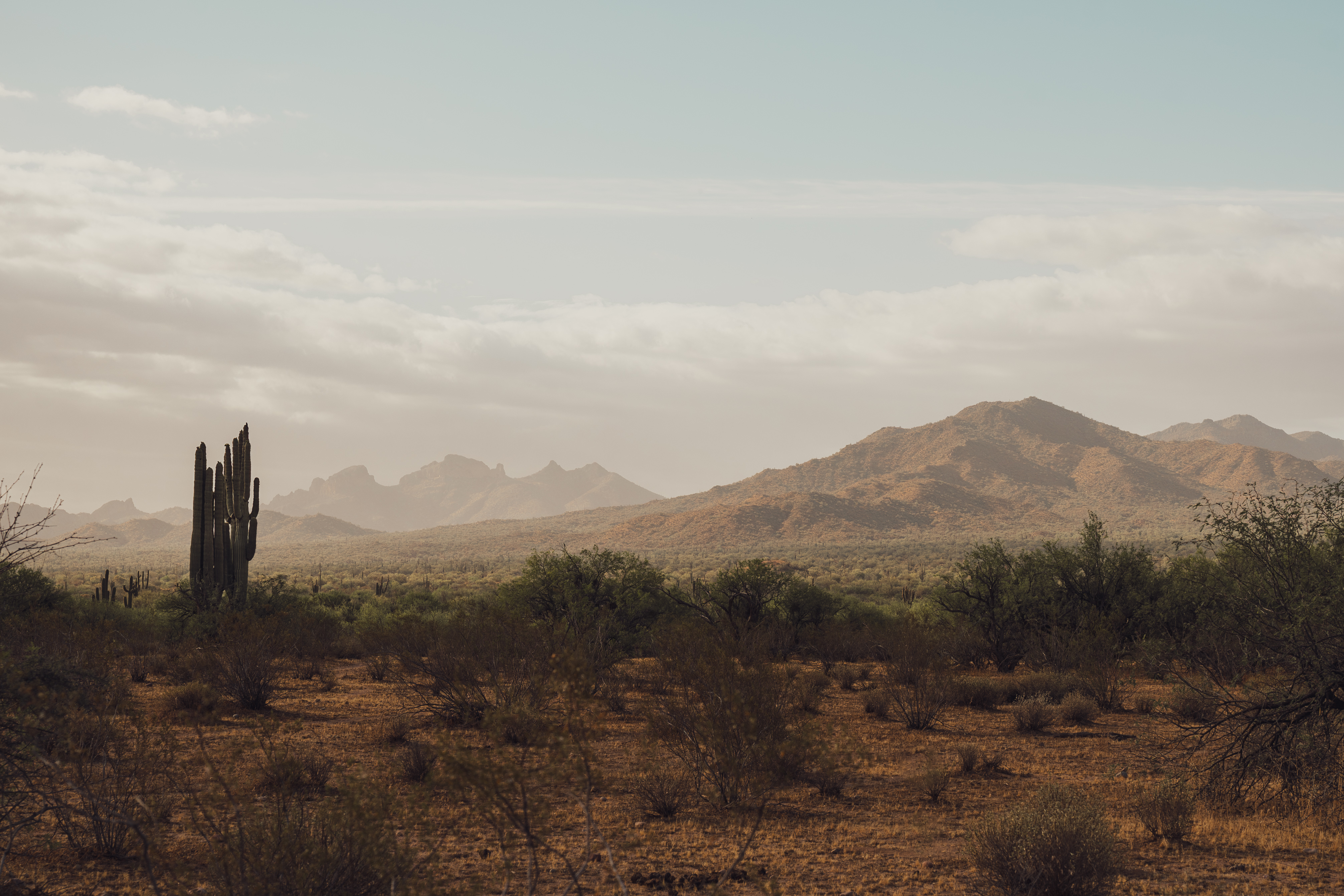 Desert landscape and mountains in Mesa Apache Junction Arizona, Coon Bluff.