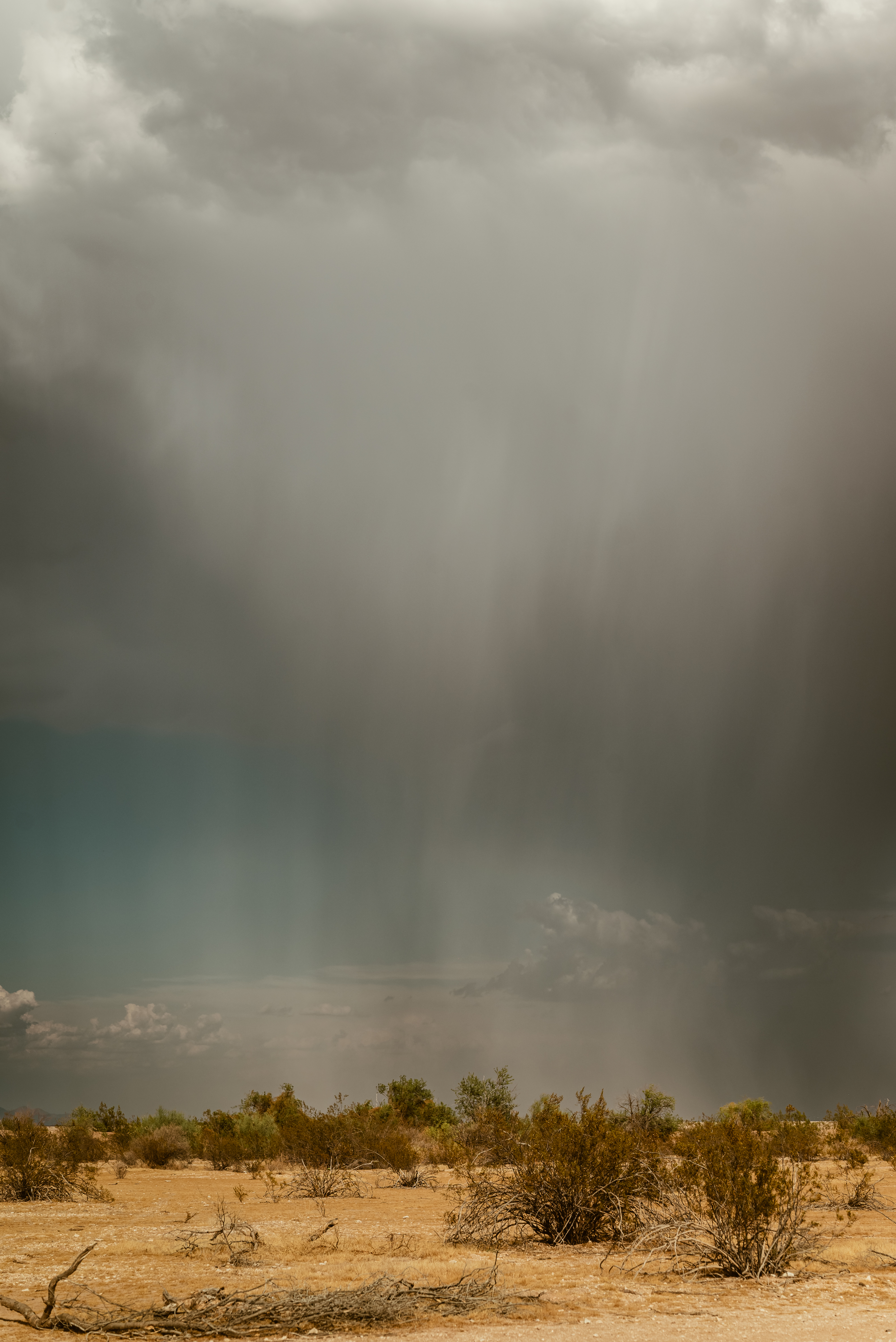 Monsoon rains over desert landscape on the Maricopa Trail Arizona.