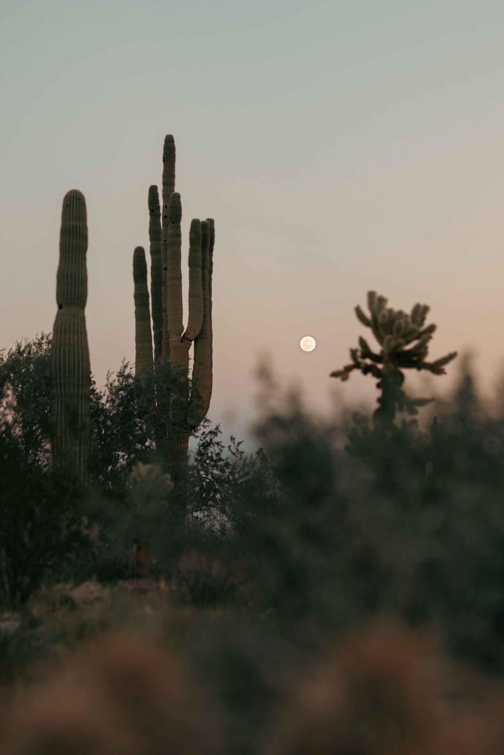 Dreamy desert landscape at dusk with full moon rising.