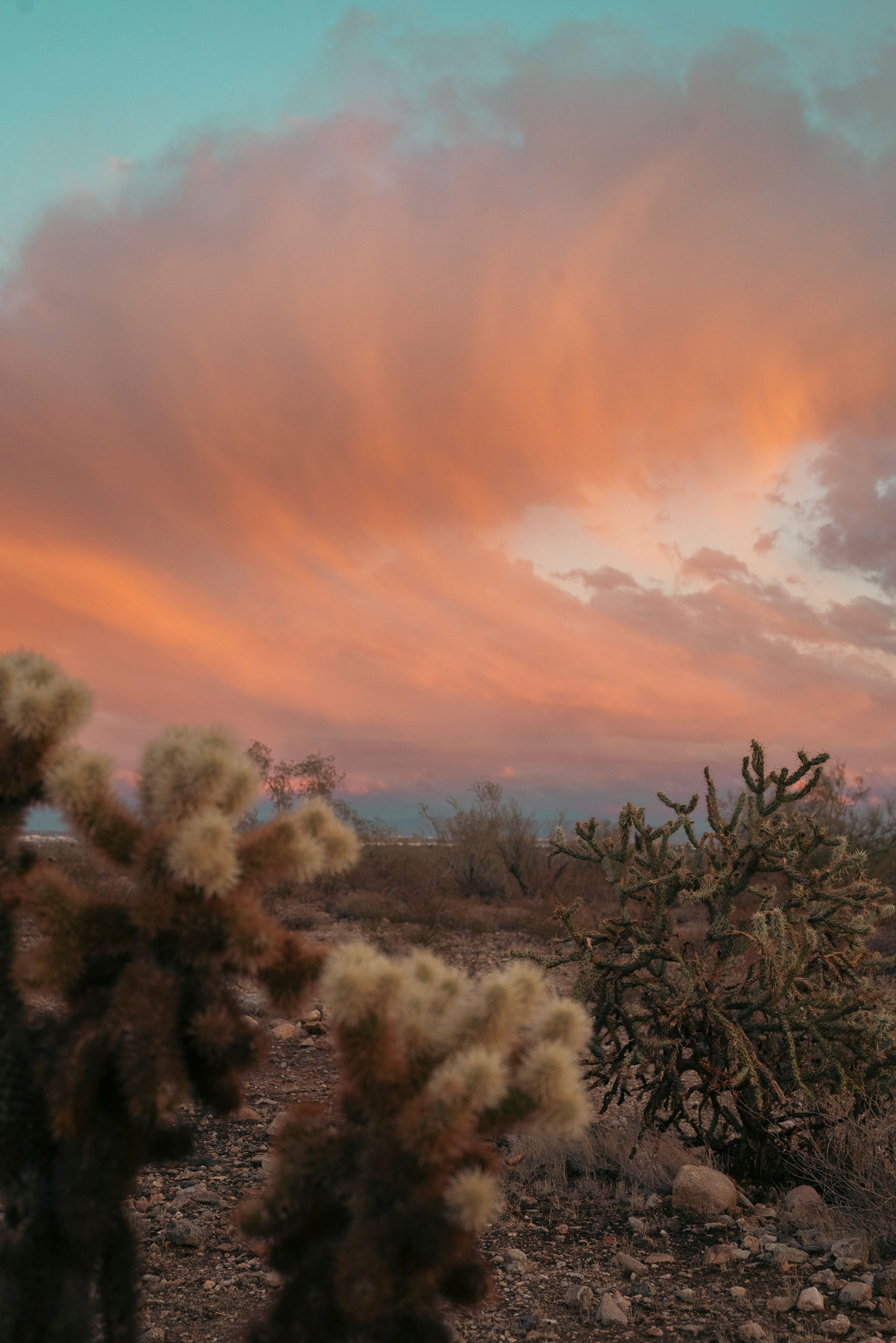 Cotton candy clouds over the desert.