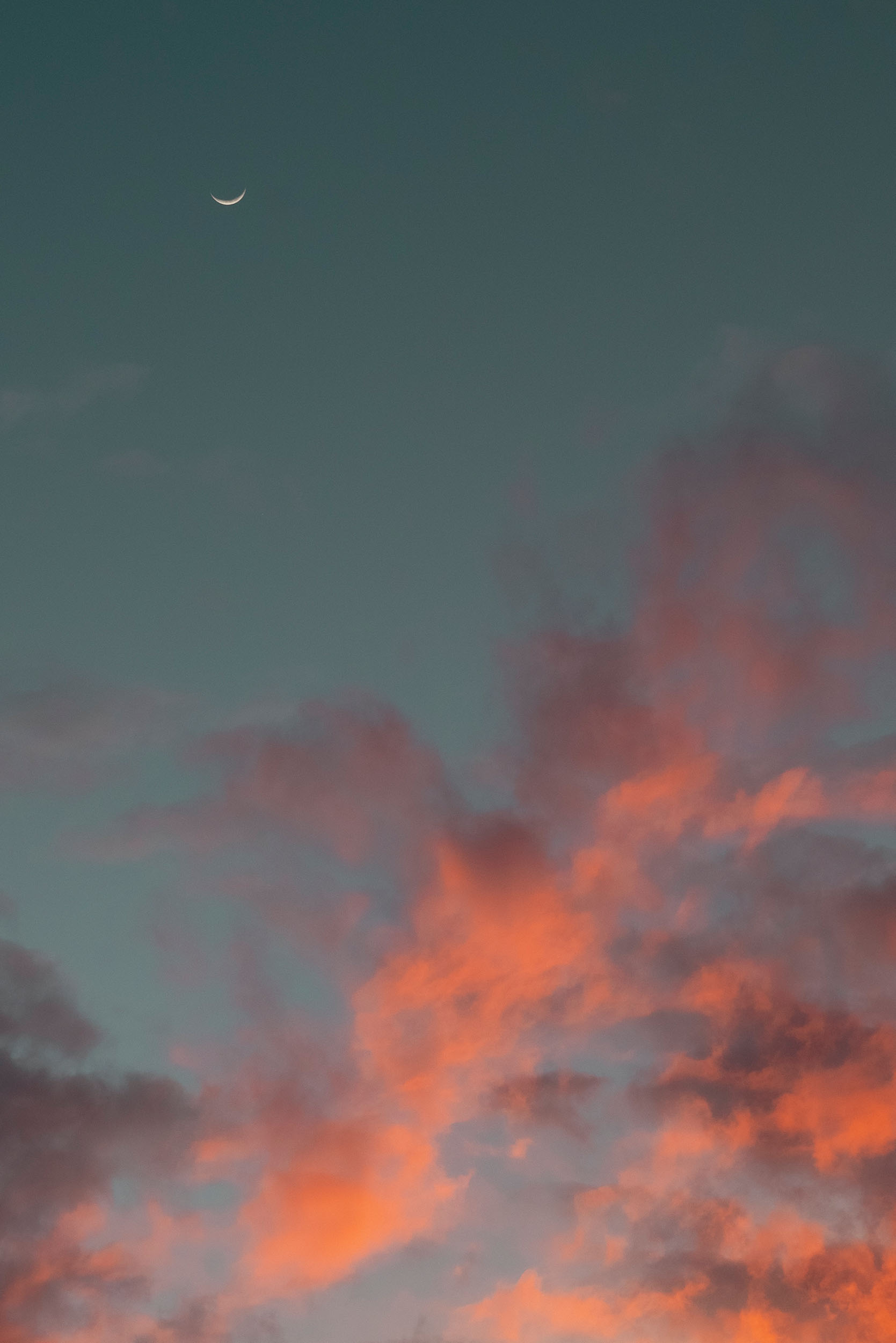 Crescent moon above vibrant pink scattered clouds at dusk.