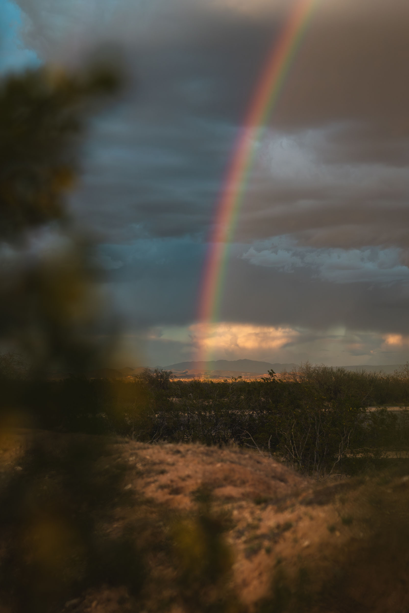 Rainbow captured over Arizona desert valley during summer monsoon storm.