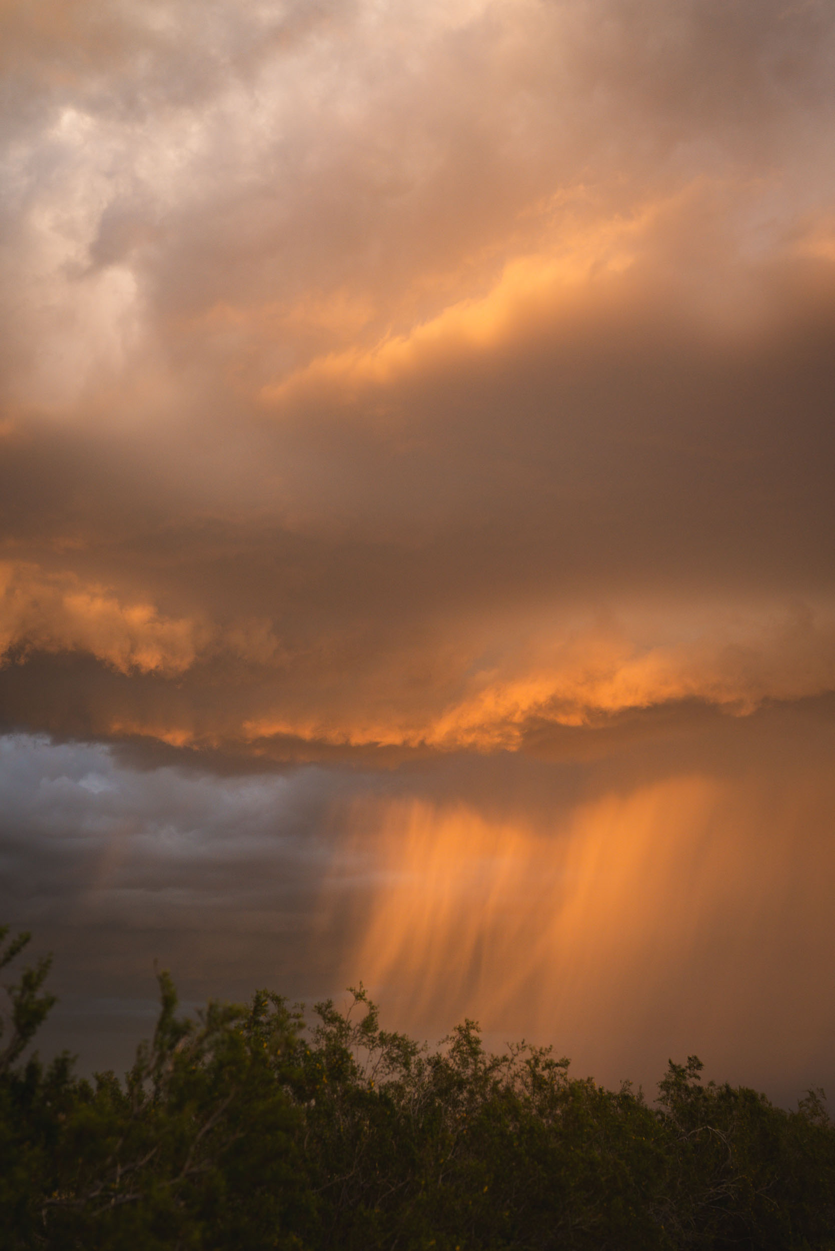 Illuminated monsoon storm cloud with visible, powerful rain falling below.
