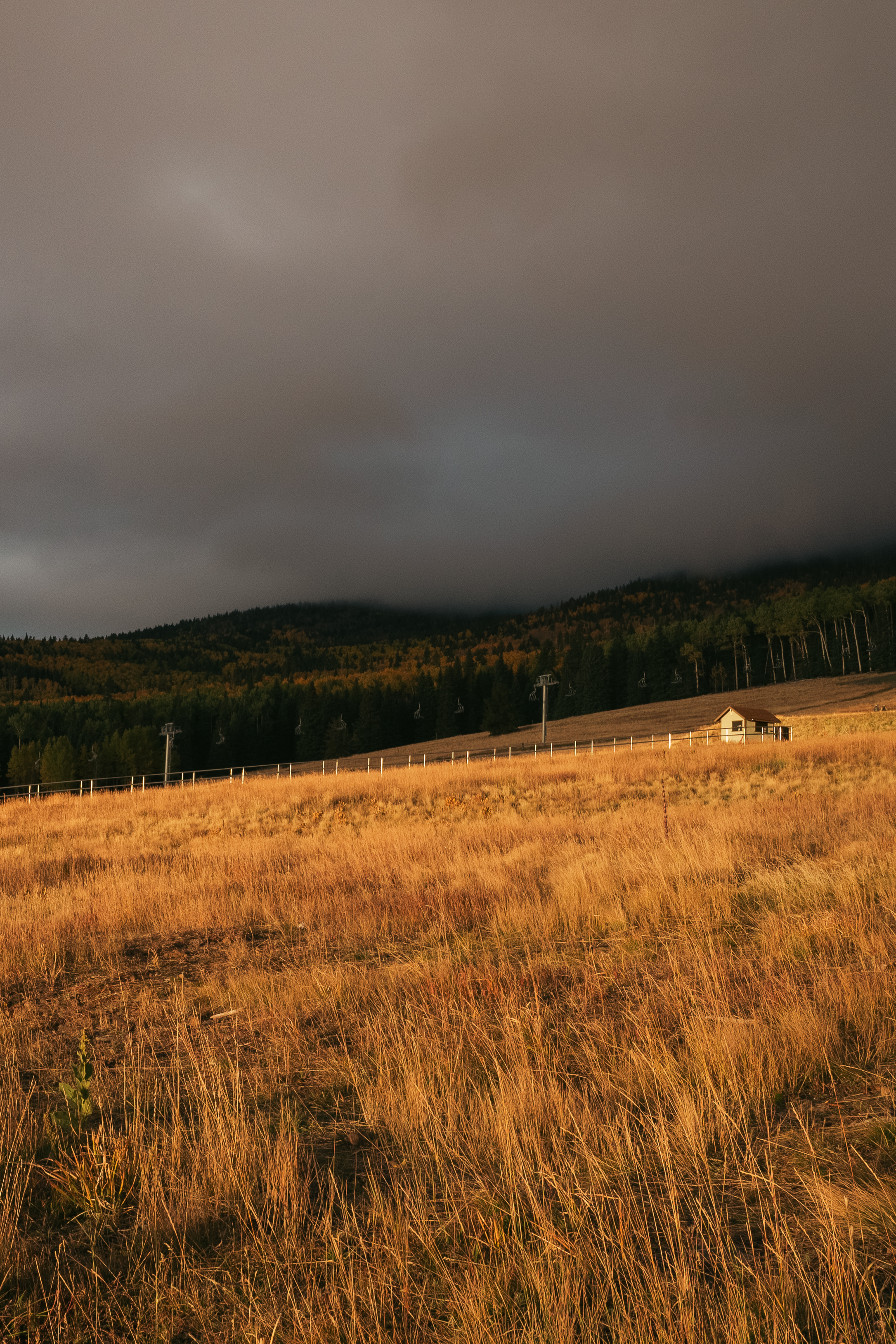 Golden light over Mount Humphreys during Autumn Fall in Flagstaff Arizona.