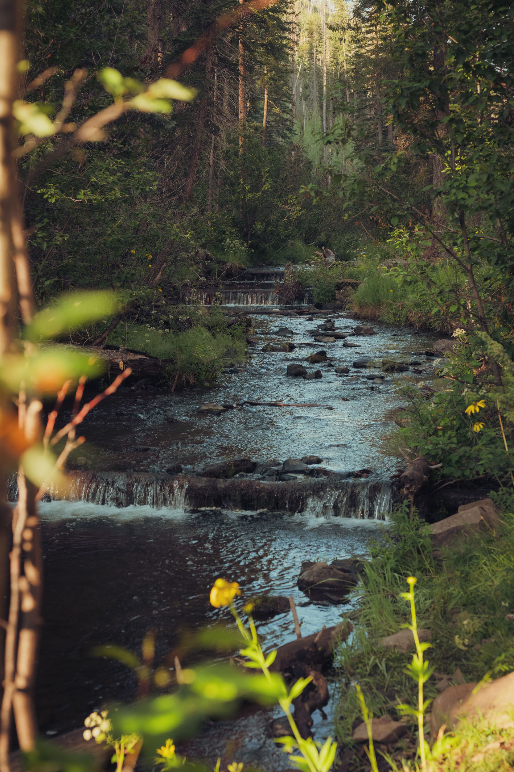 Early morning Little Colorado River along the Government Springs trail in Greer, Arizona.