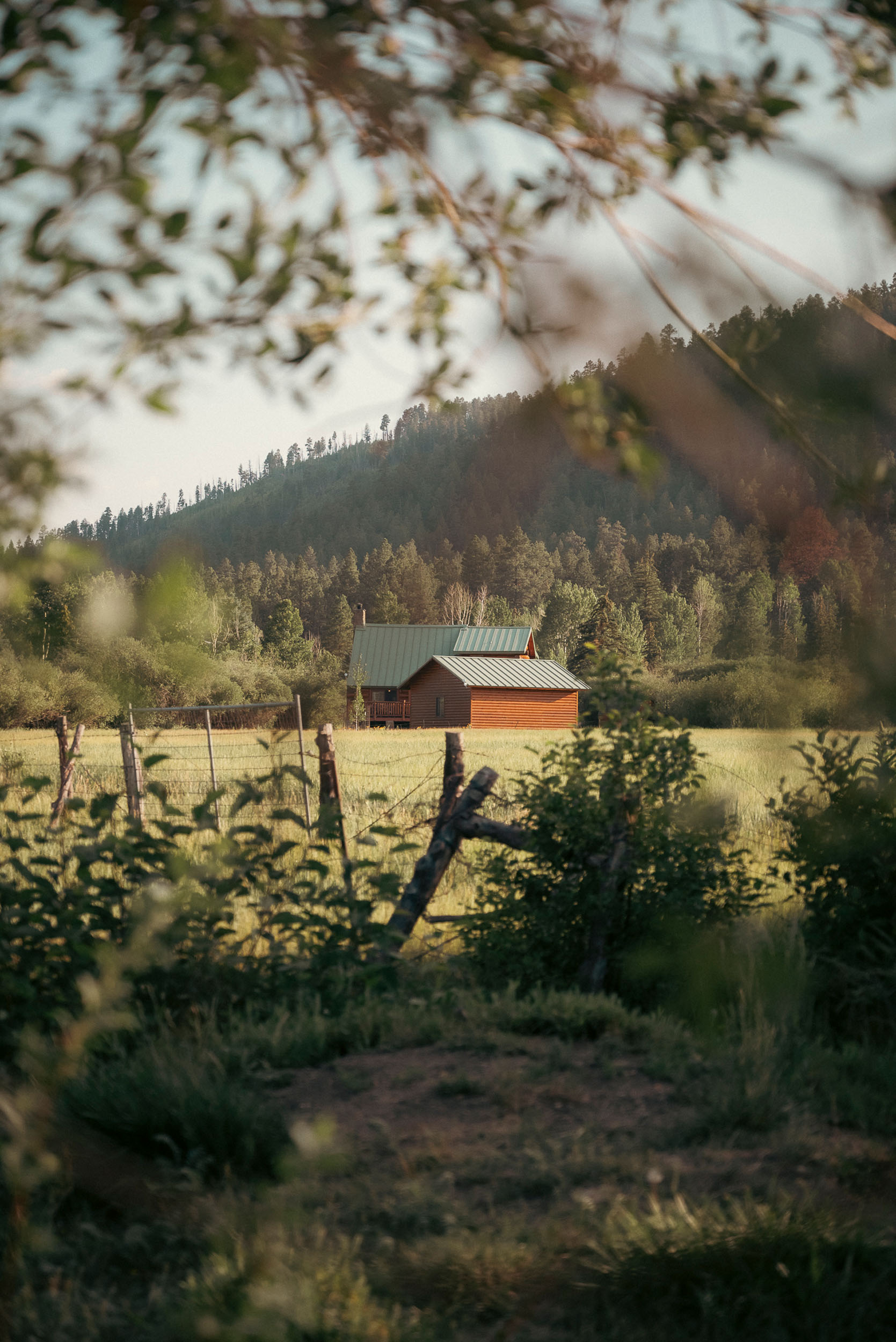 Lone cabin on a meadow surrounded by forest in Greer, Arizona