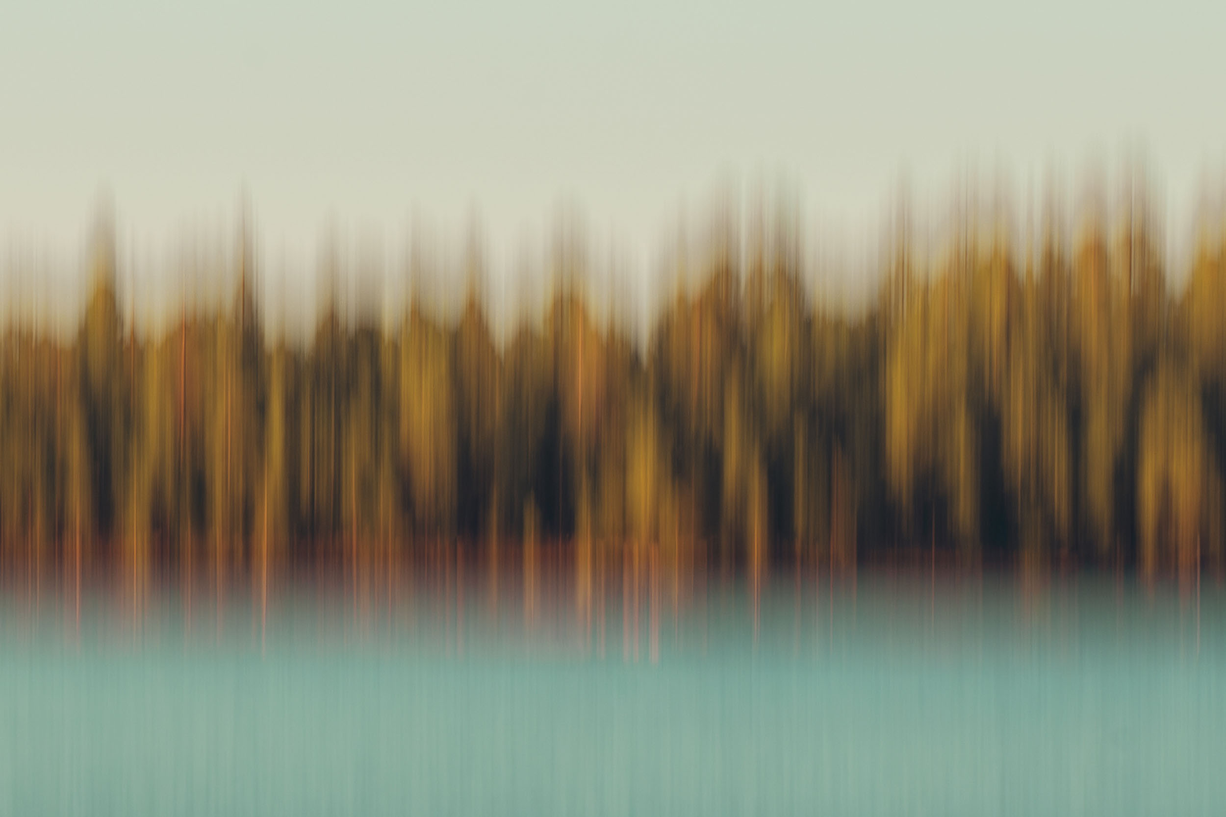 Abstract lake and forest reflection, Hawley Lake Arizona