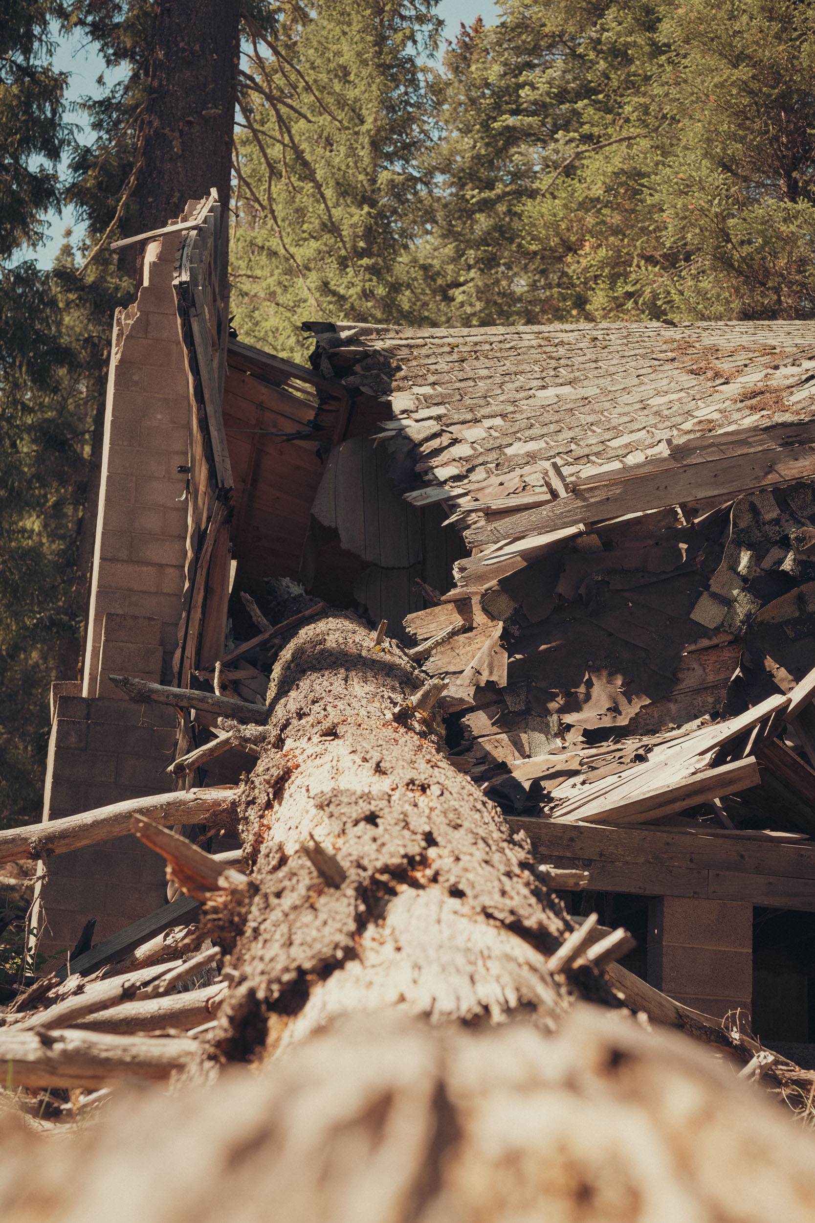 Decaying cabin in the Arizona White Mountains.