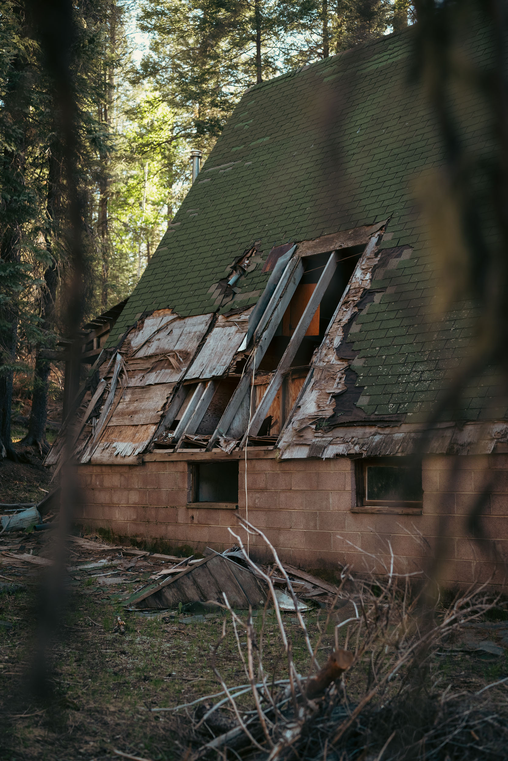 Abandoned, decaying cabin tucked in the woods of Northern Arizona.