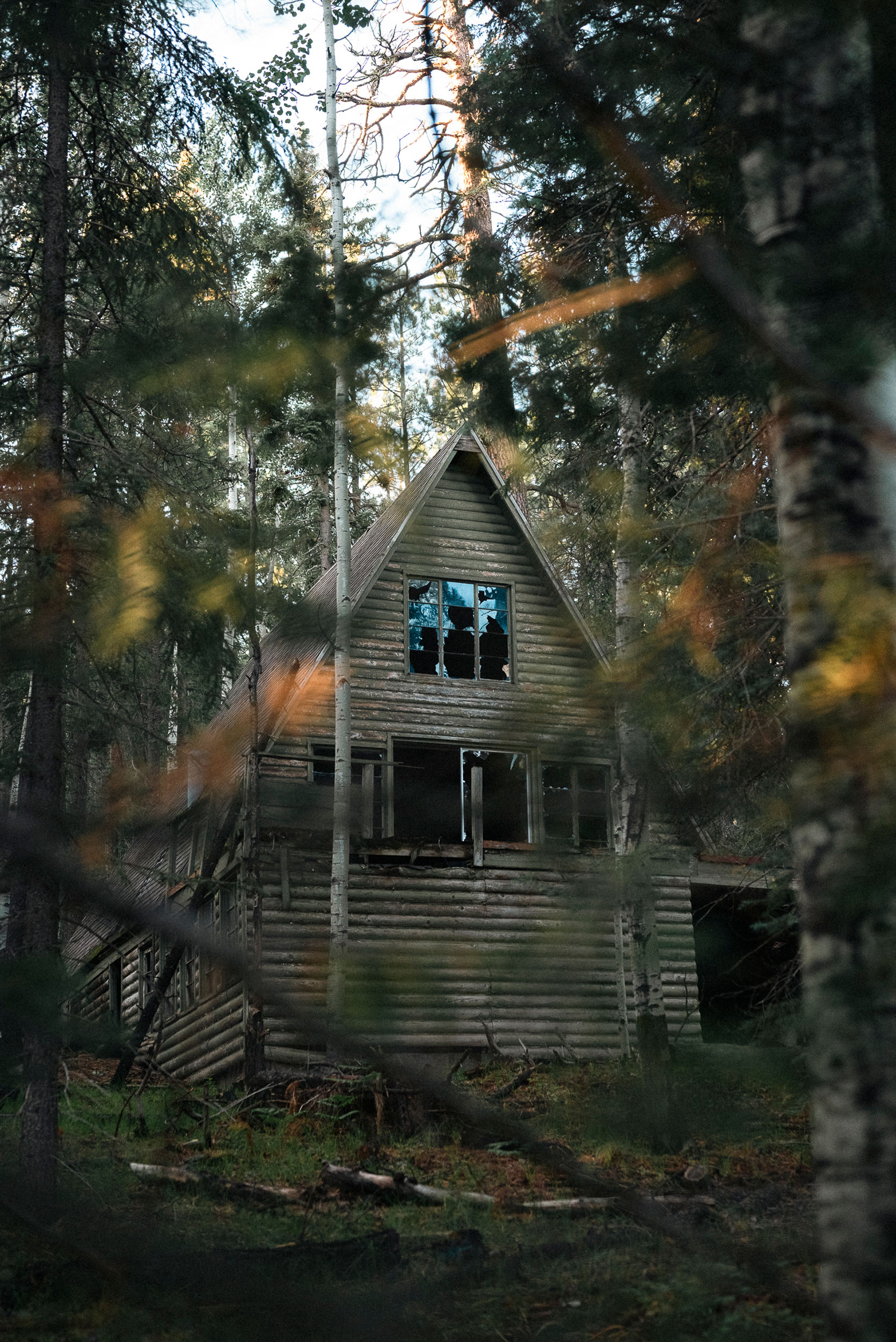 Abandoned Arizona mountain cabin, hidden in the forest.