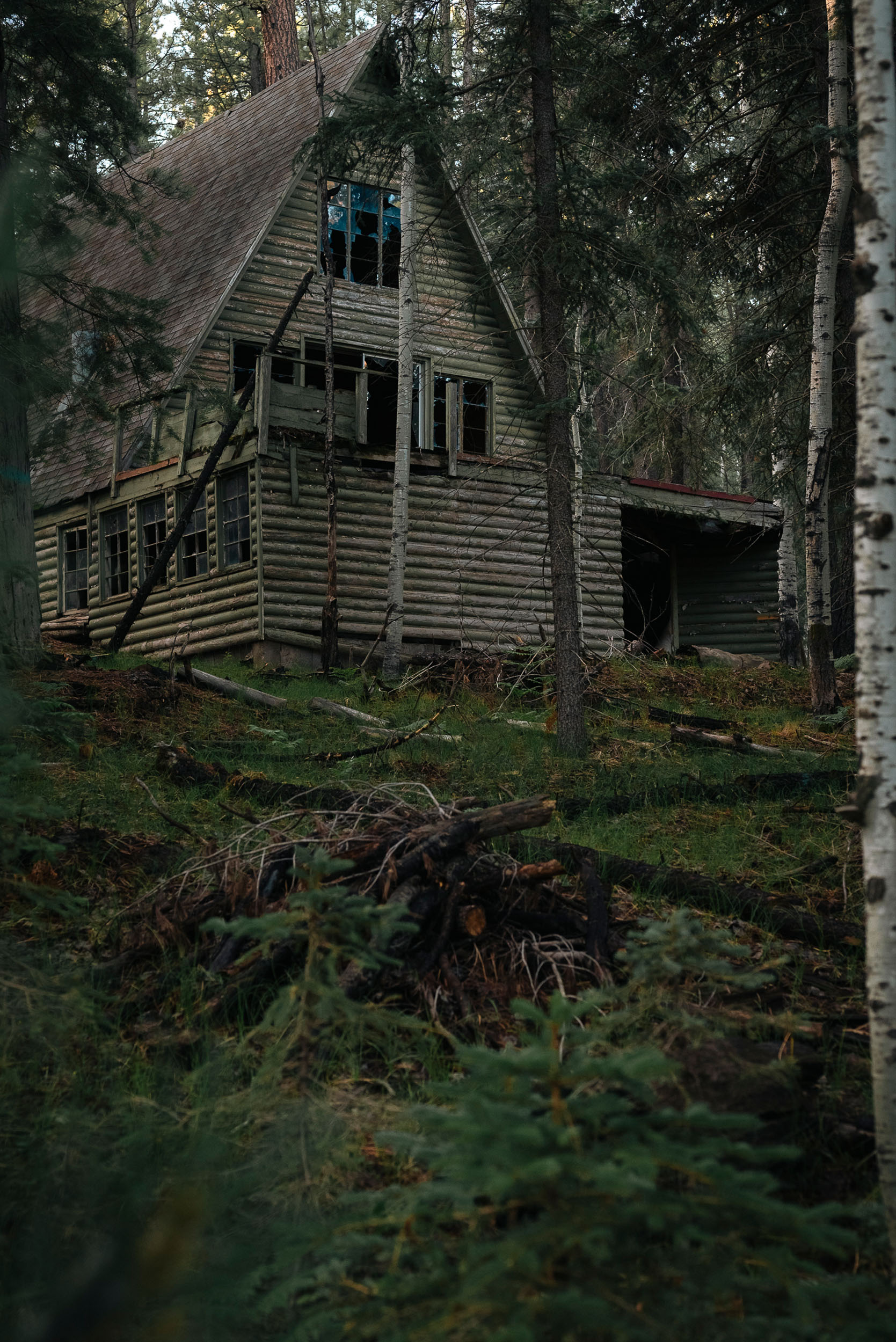Abandoned, decaying cabin tucked in the forest of the Arizona White Mountains.