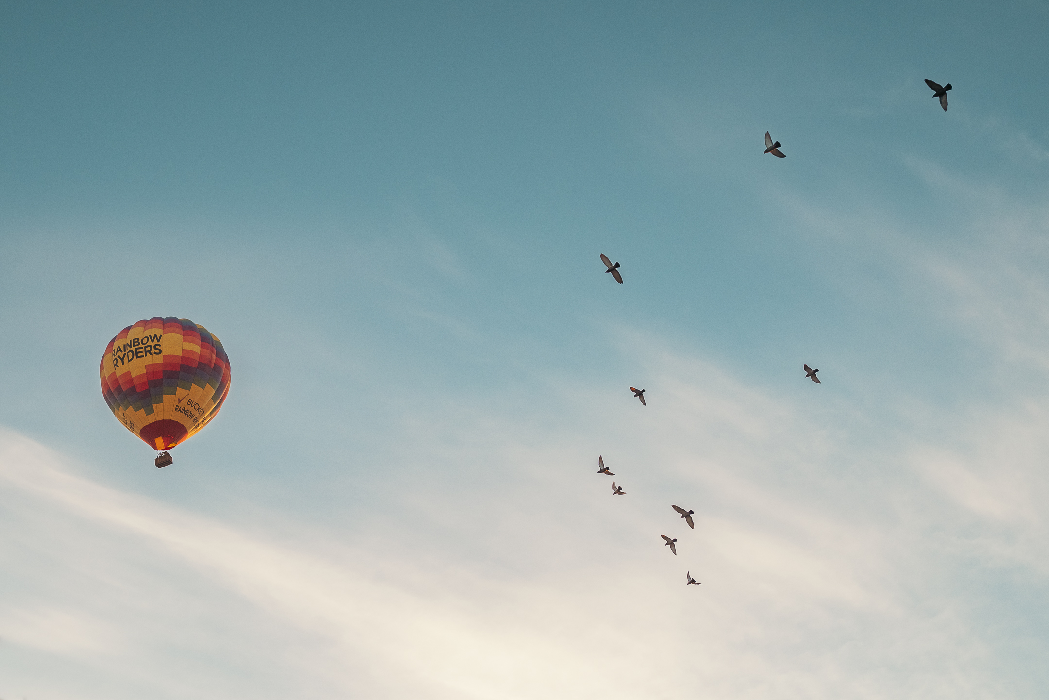 Rainbow Ryders hot air balloon flying with the birds over Surprise, Arizona.