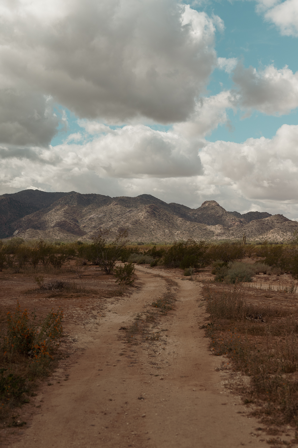 Trail leading to the White Tank Mountains in Arizona.