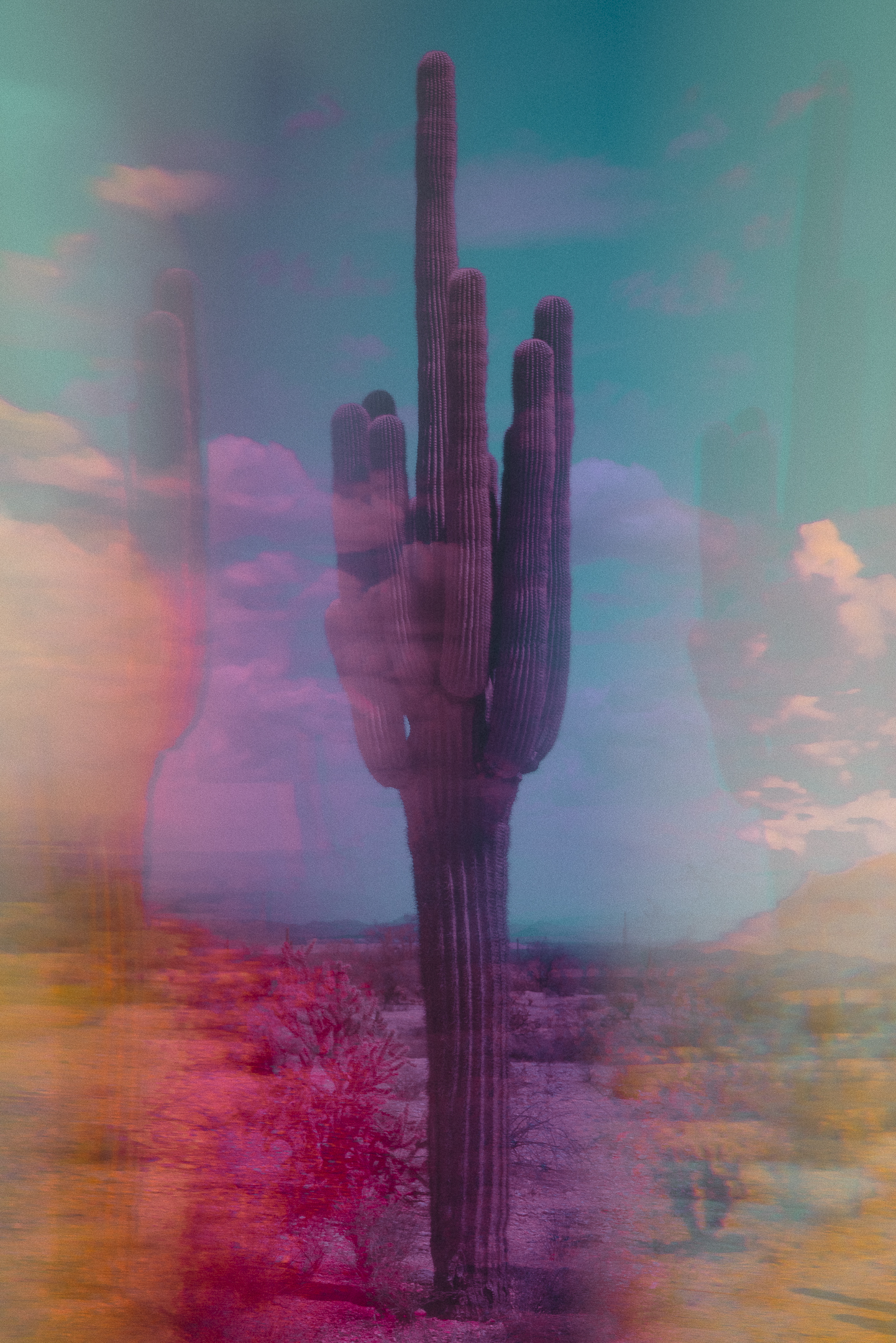 Prismatic colorful Saguaro Cactus.