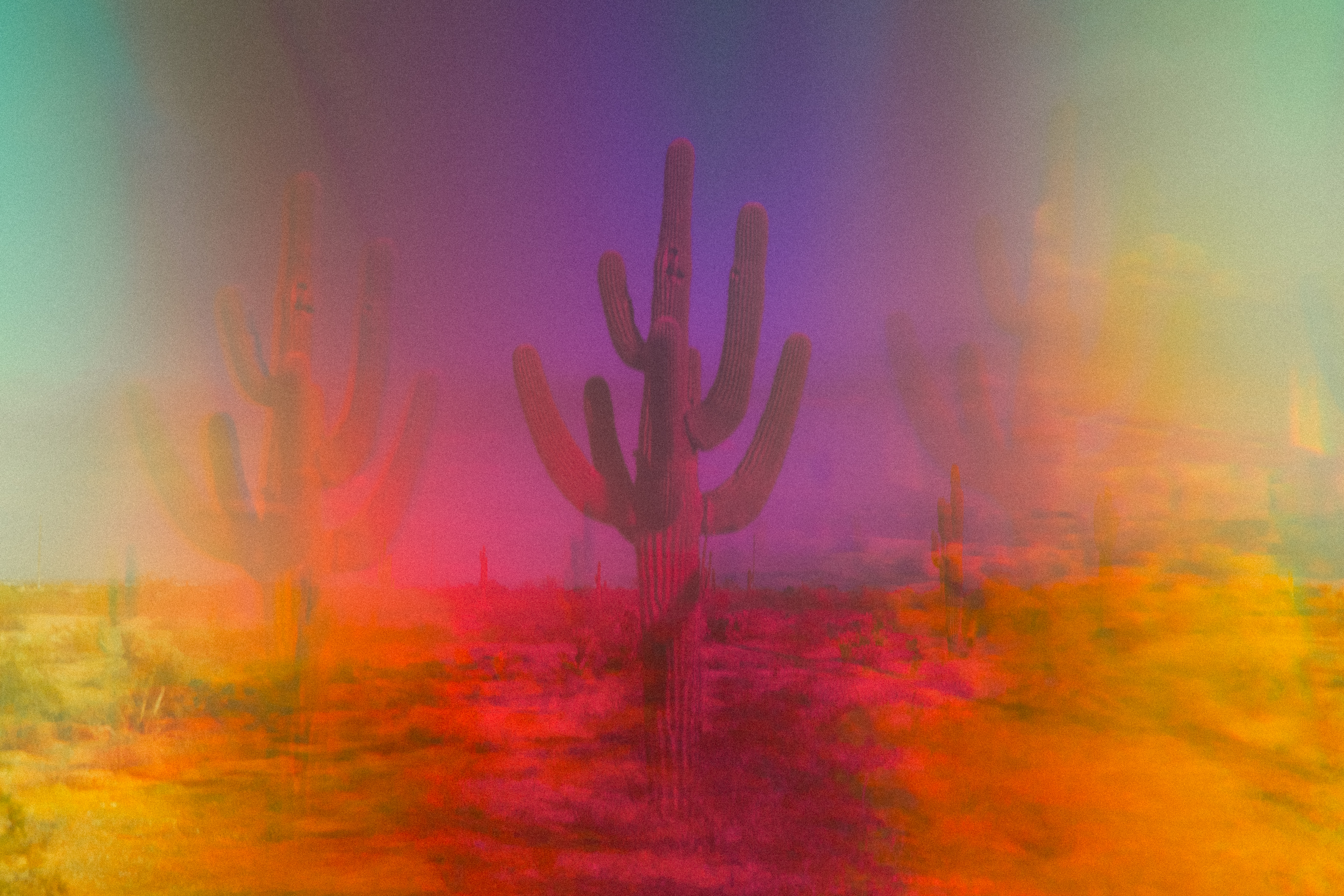 Prismatic colorful Saguaro Cactus.