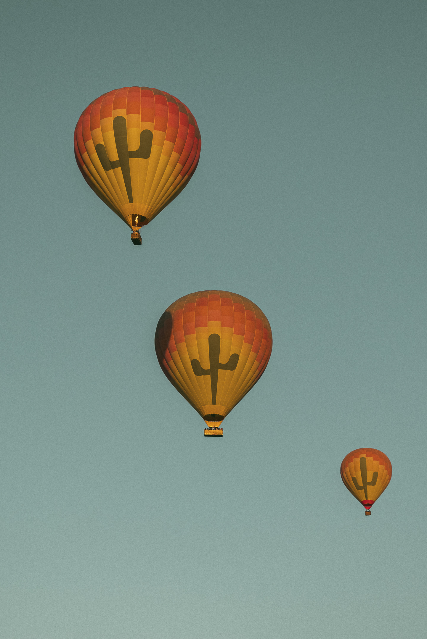 Hot Air Balloons with Saguaro cactus logo floating in Arizona.