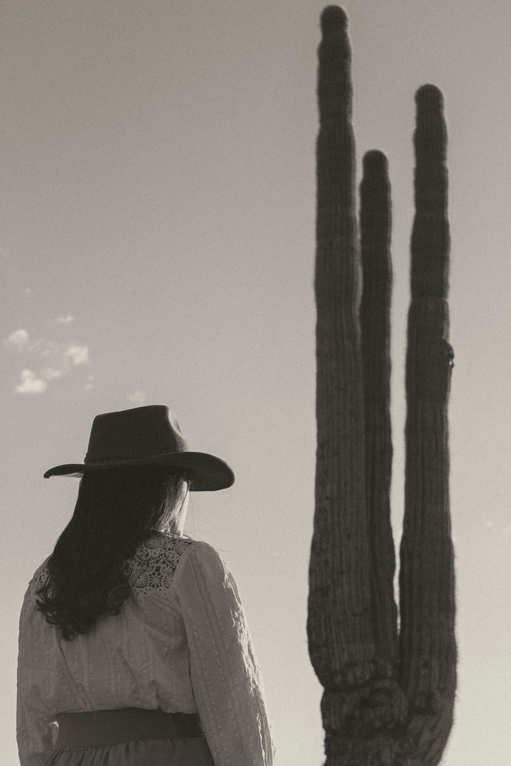 western apparition next to a saguaro in a southwest scene