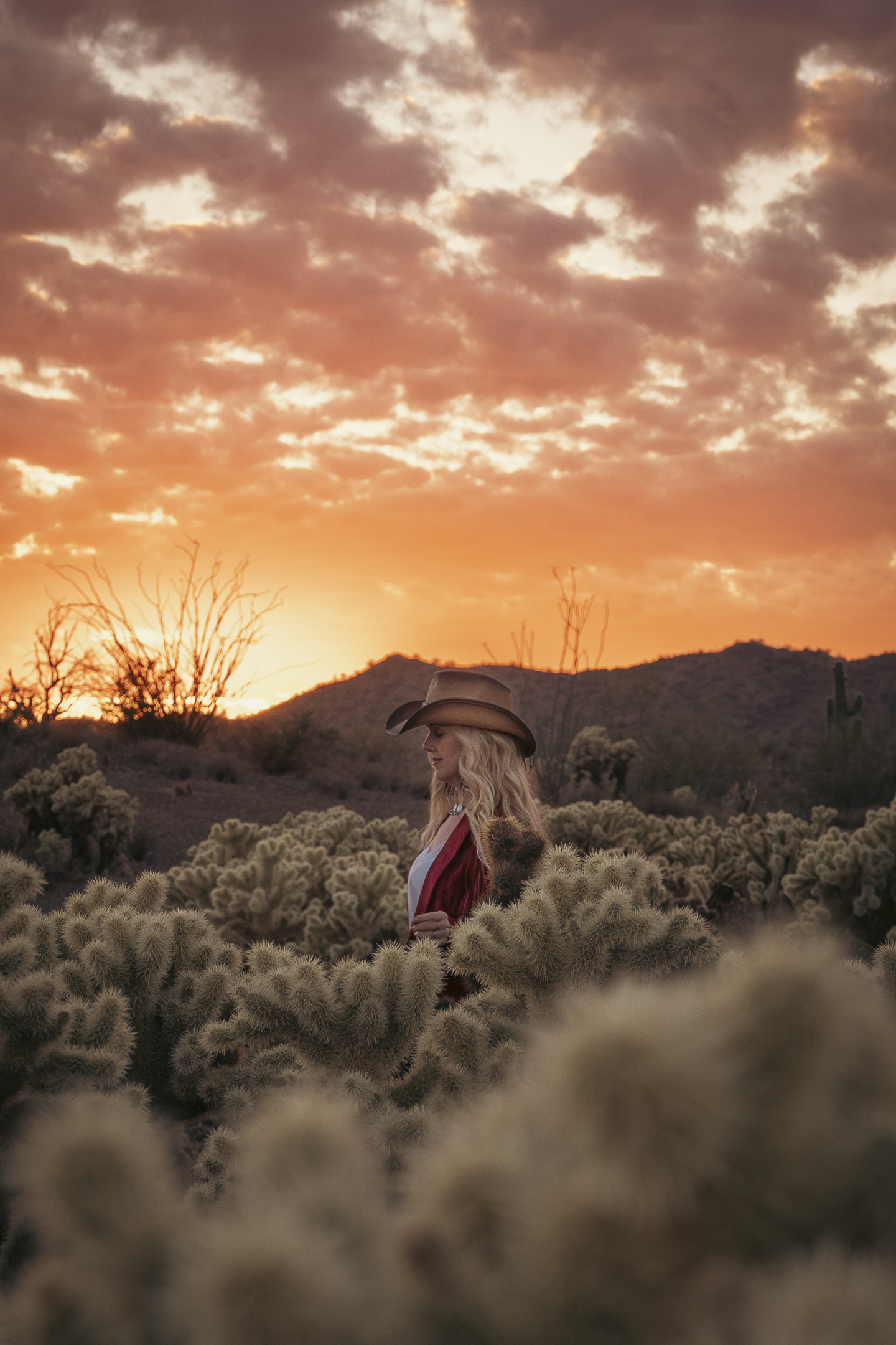 Woman standing in the desert surrounded by a forest of cholla cactus with a vibrant sunset in the background.